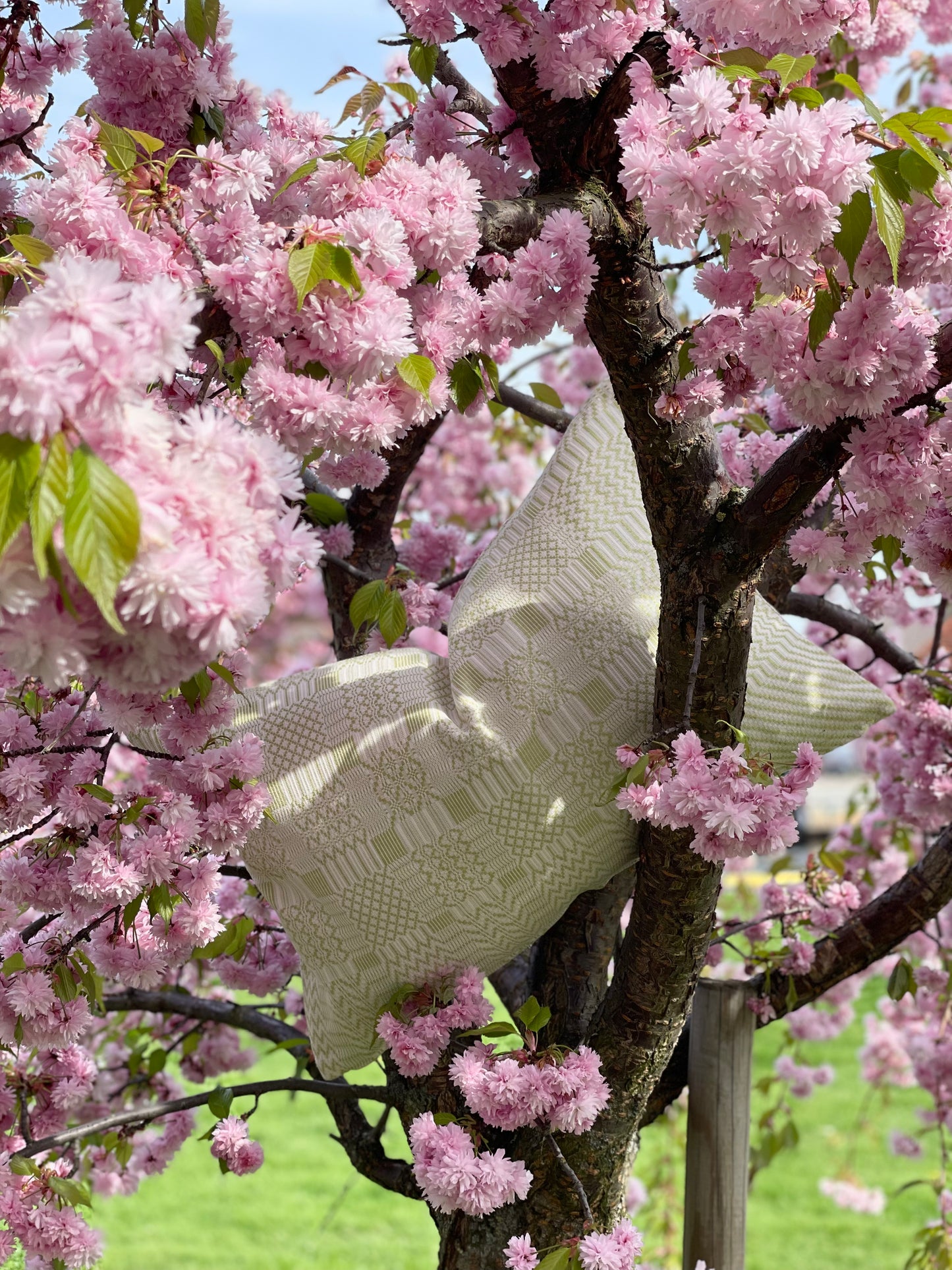 REMO Tablecloth Green