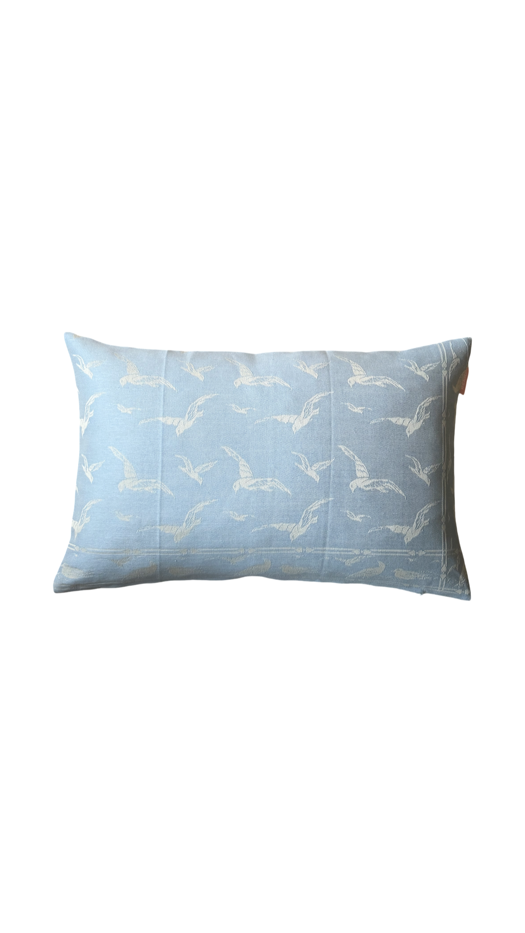 REMO Blue Bird
